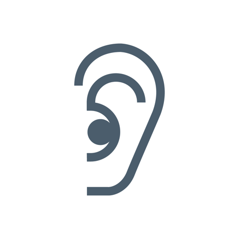 Icon Hearing Protection Blue Grey (1)